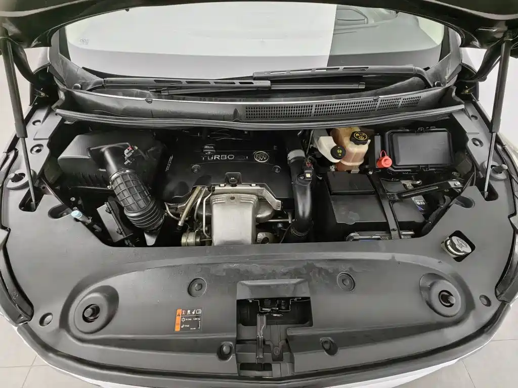 Buick GL8 — миниатюра 6