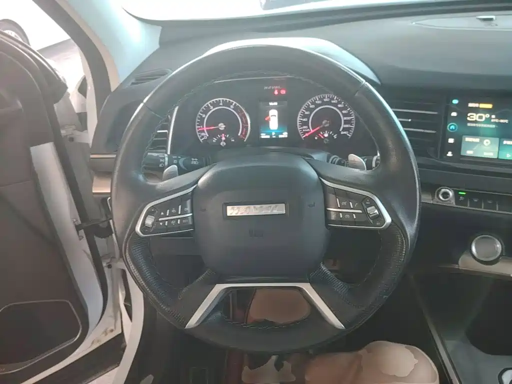 Haval H6 — миниатюра 11