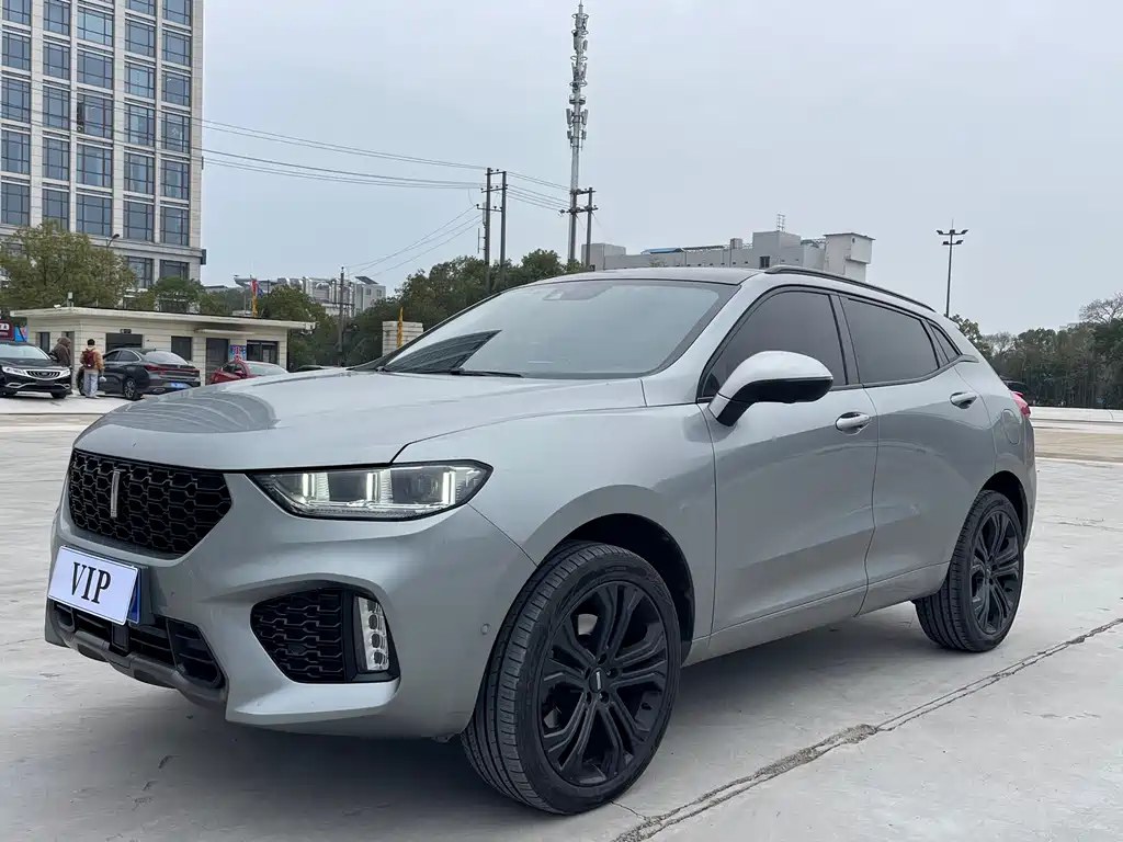 WEI PAI WEI BRAND VV5