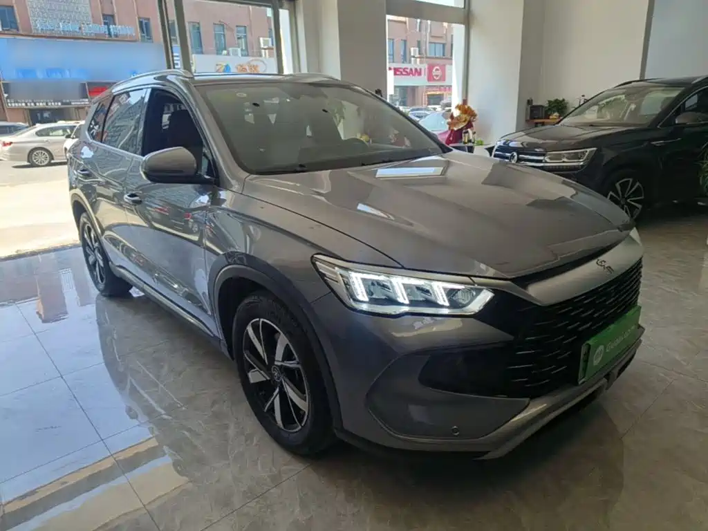BYD Pro New Energy — миниатюра 4