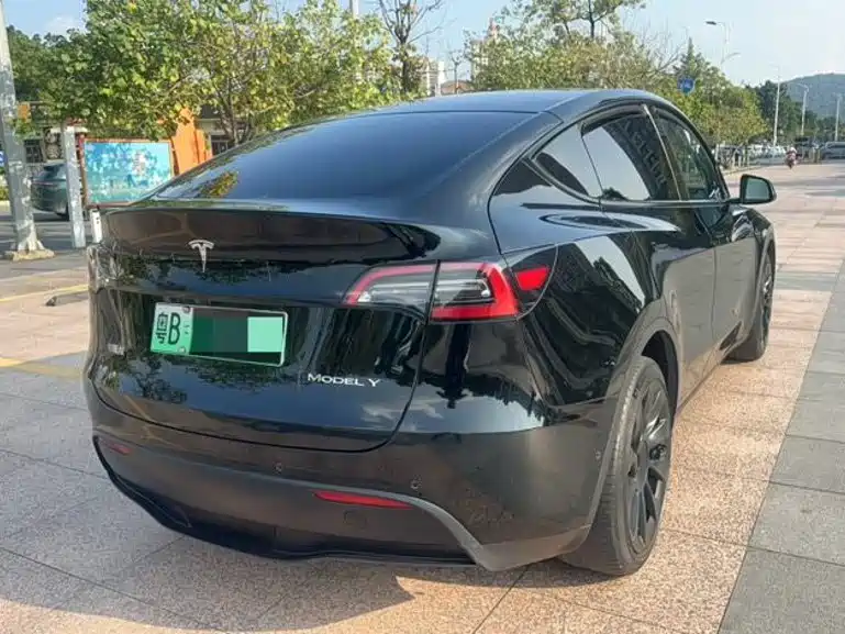 Tesla Model Y — миниатюра 4