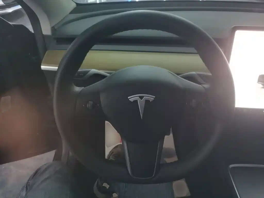 Tesla Model Y — миниатюра 11