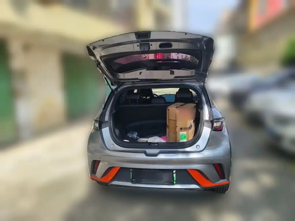 BYD Dolphin — миниатюра 15