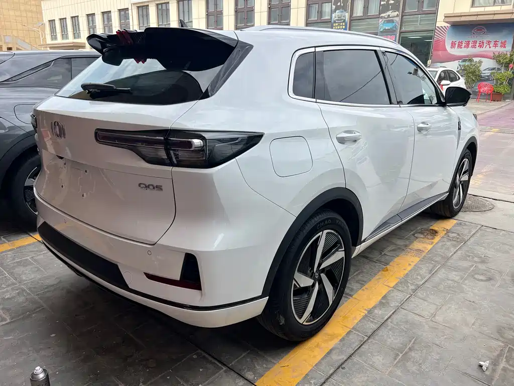 Qiyuan Чанг Ан Кай Q05 классика. — миниатюра 9