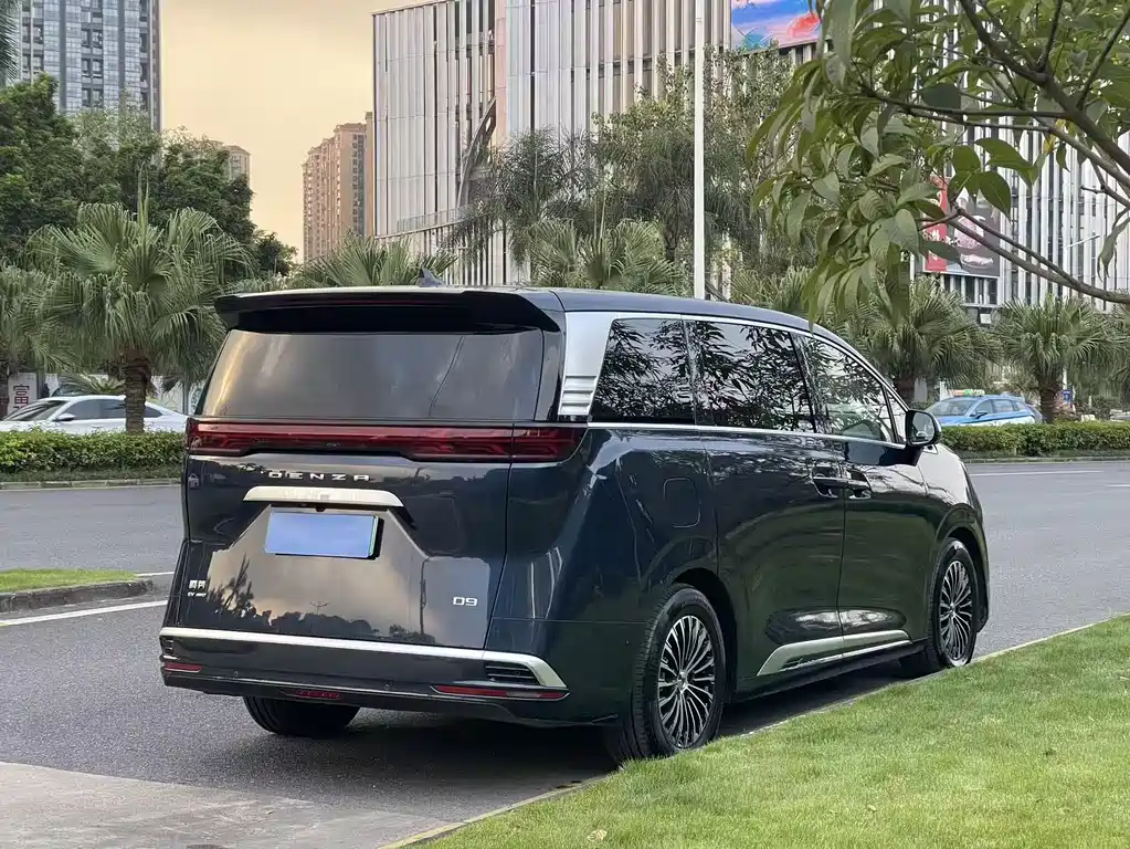Denza Denza D9 — миниатюра 6