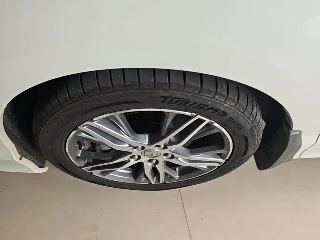 Honda Elysion — миниатюра 23