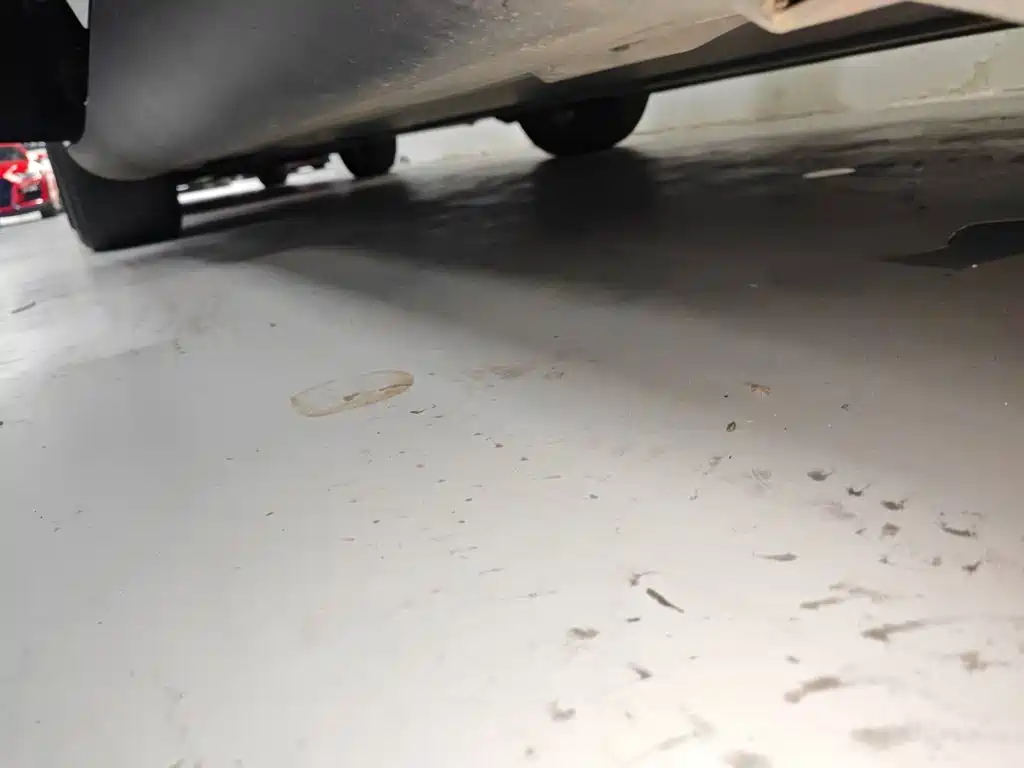 Tesla Model Y — миниатюра 22