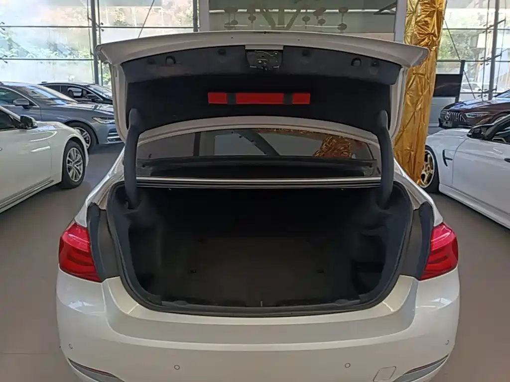 BMW 3 Series — миниатюра 19