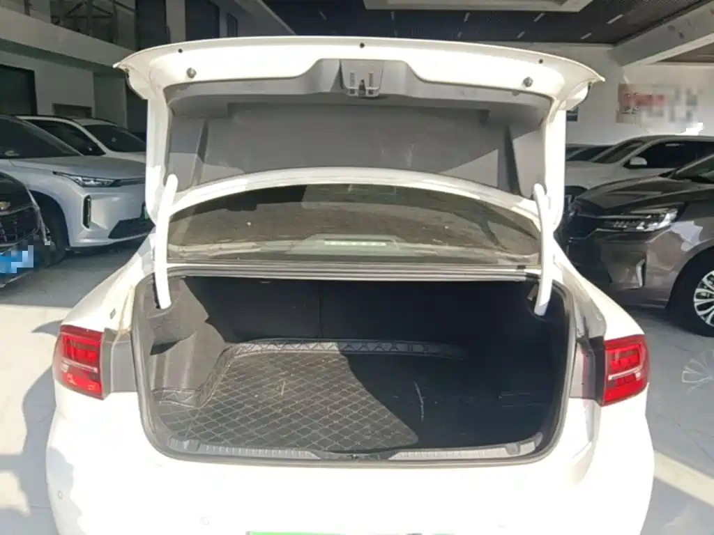 Volkswagen Lamando — миниатюра 19
