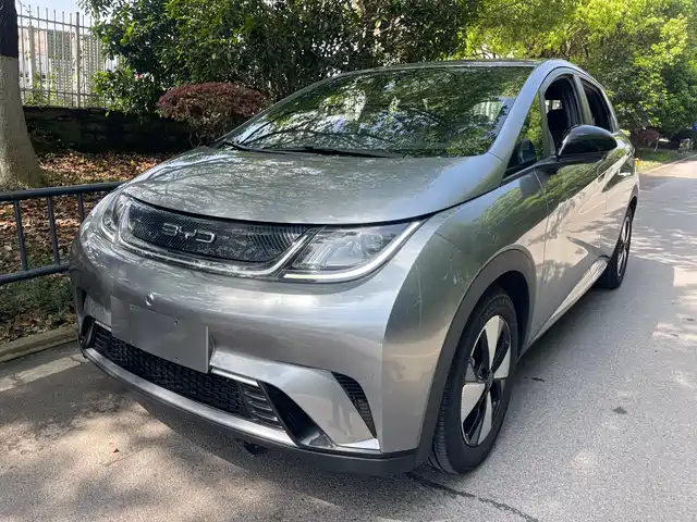 2023 BYD Dolphin