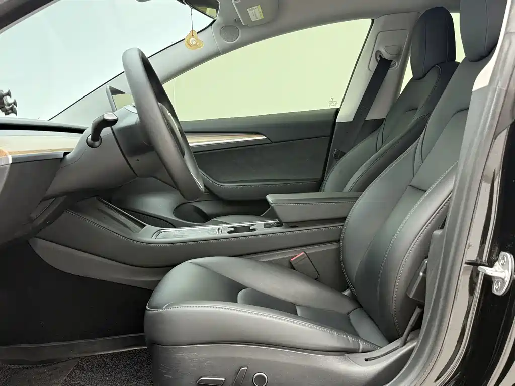 Tesla Model 3 — миниатюра 5