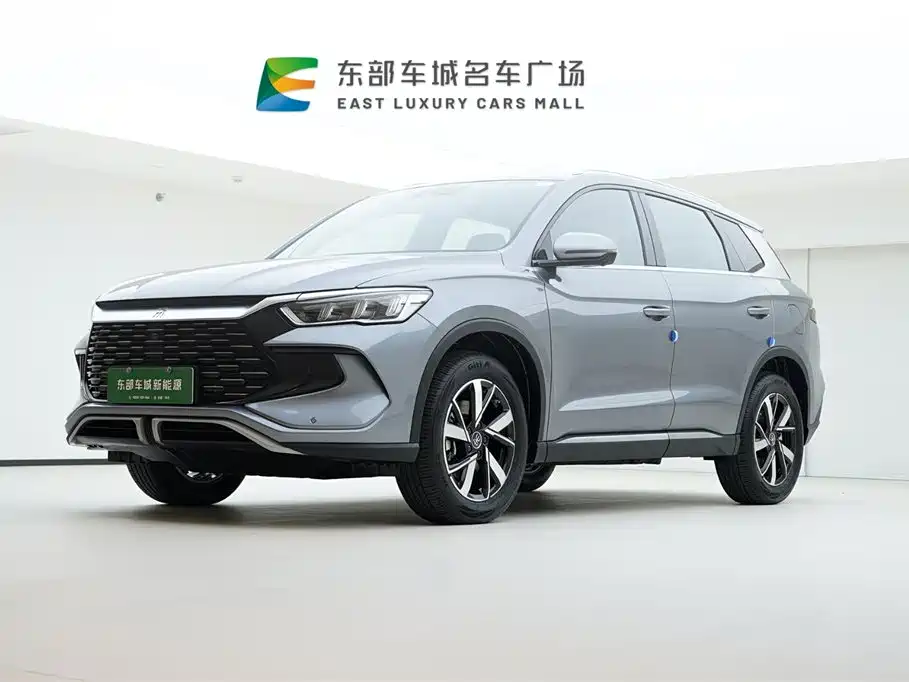 Byd Pro New Energy 2024