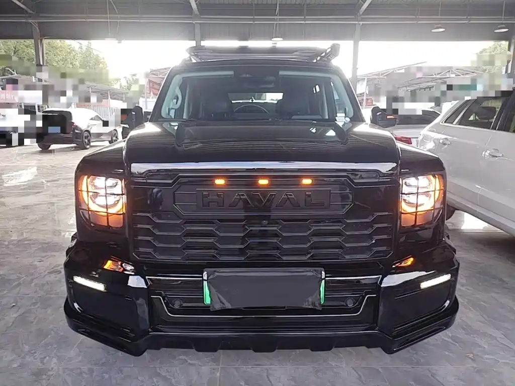 Haval Menglong New Energy — миниатюра 3