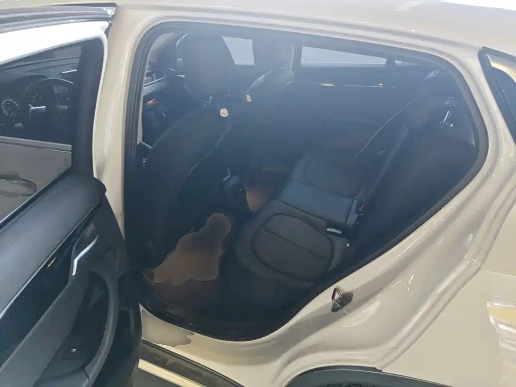 BMW X2 (Import) — миниатюра 17
