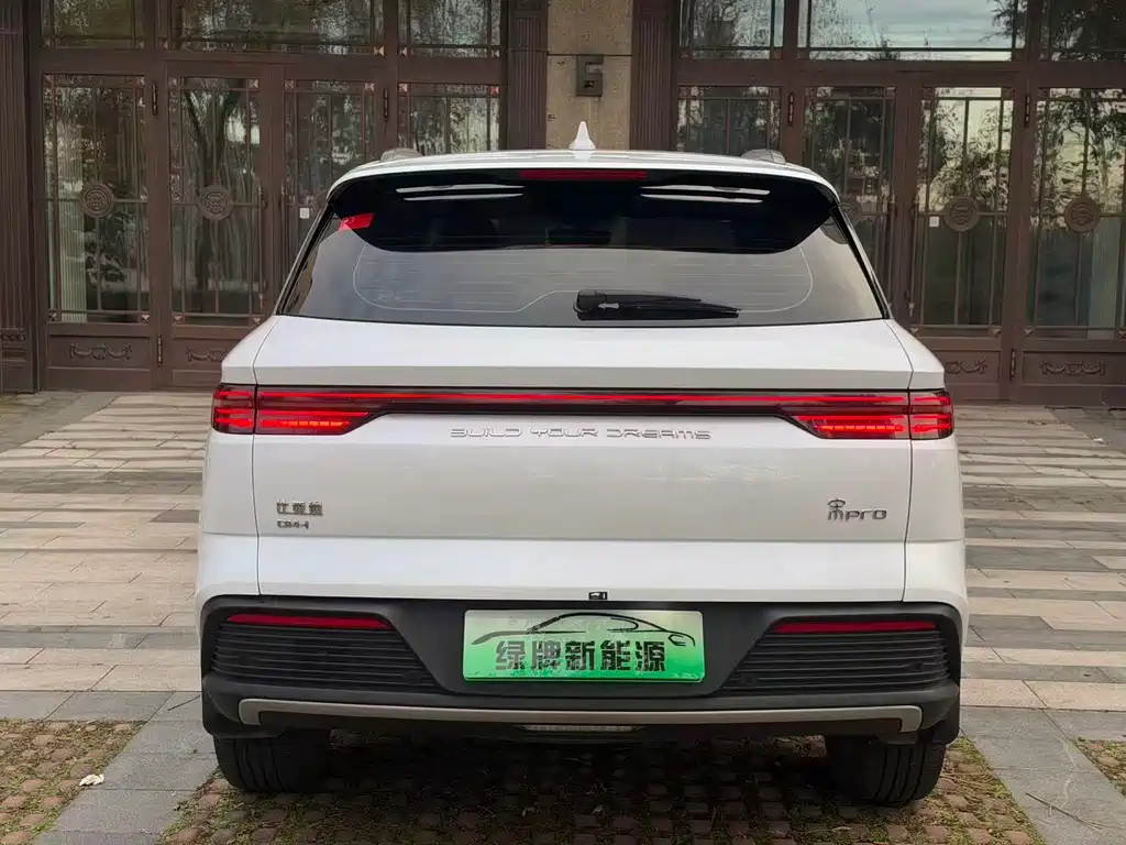 BYD Pro New Energy — миниатюра 8