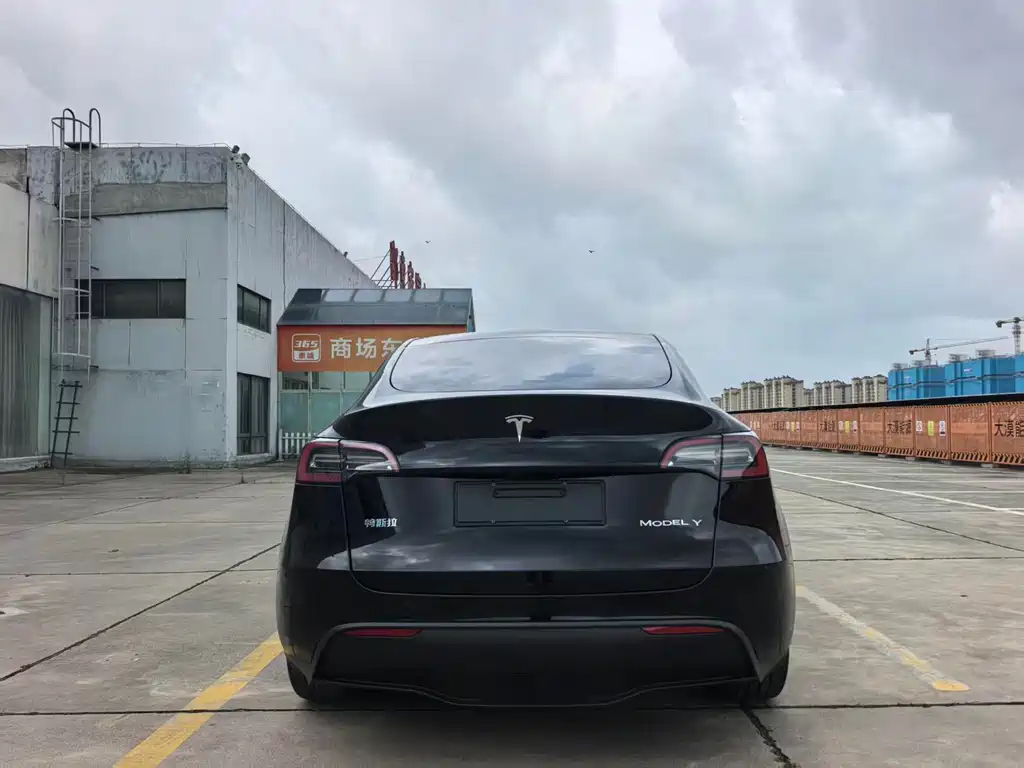 Tesla Model Y — миниатюра 9