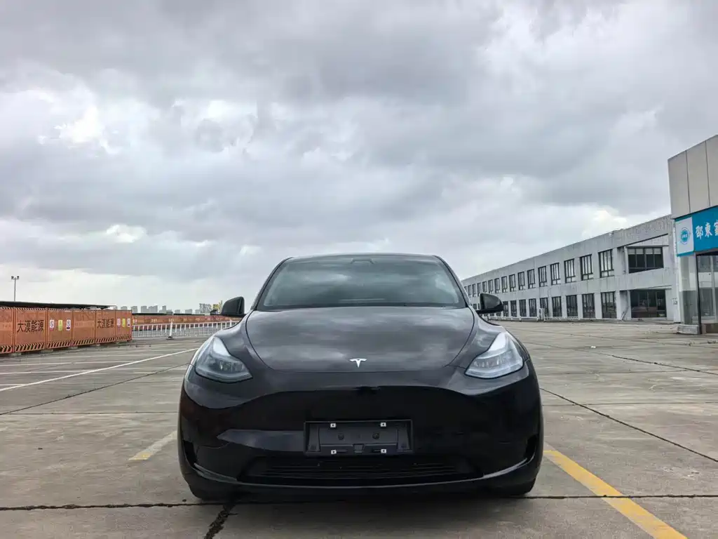 Tesla Model Y — миниатюра 2