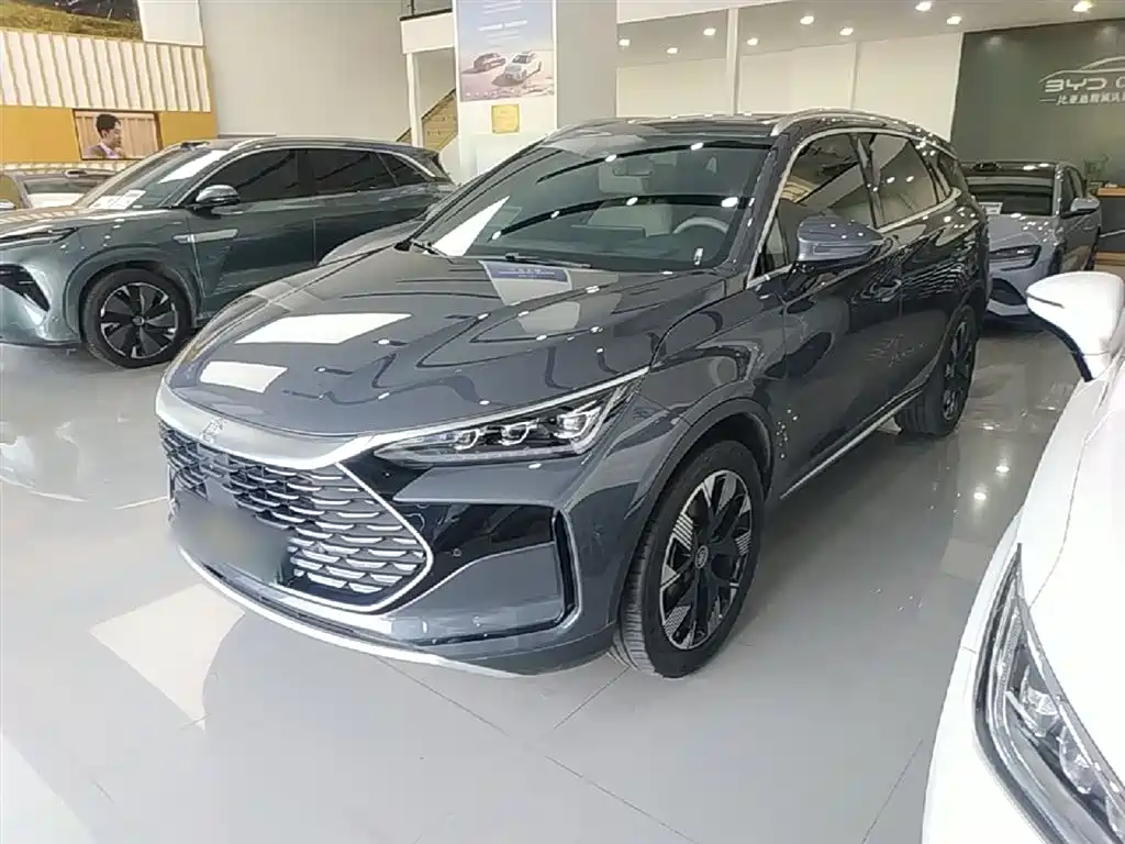Byd Tang New Energy 2024