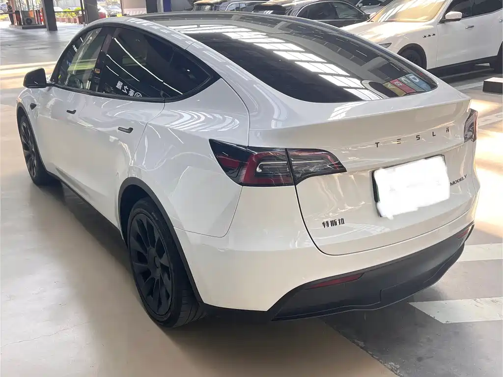 Tesla Model Y — миниатюра 11