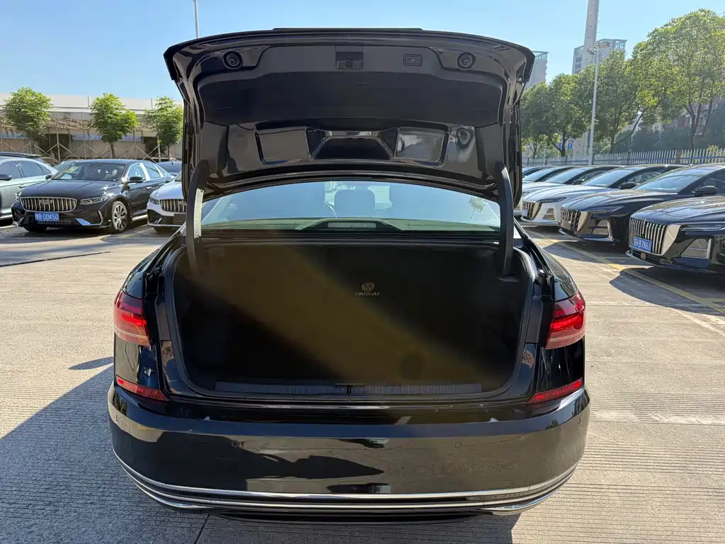 Volkswagen Passat — миниатюра 8