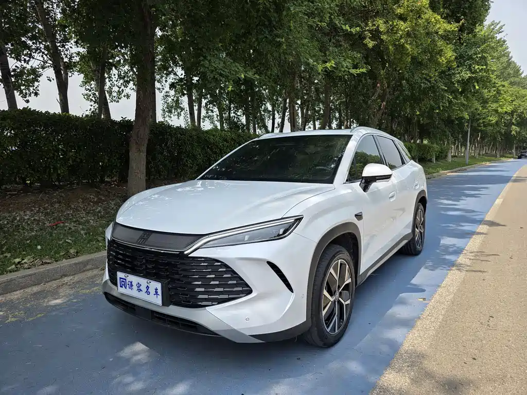 Byd L DM-i 2025