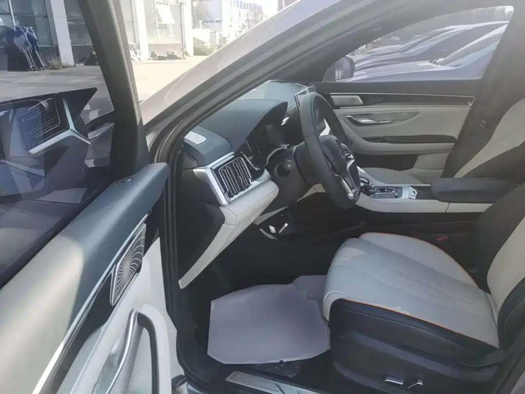 BYD PLUS New Energy — миниатюра 16