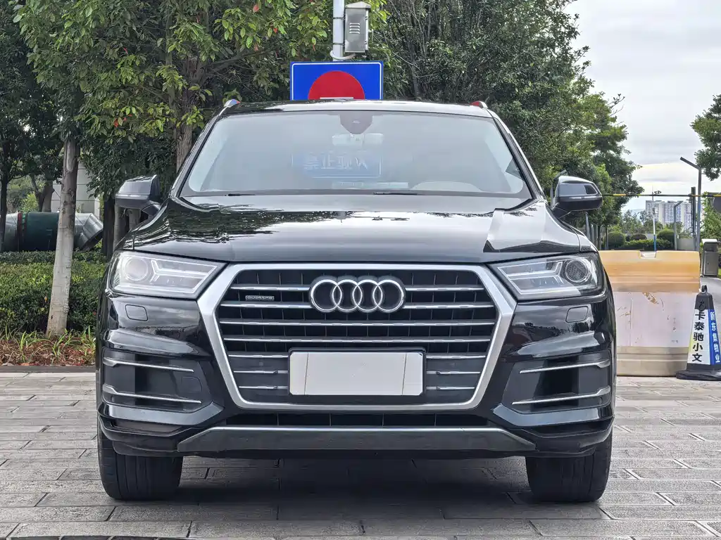 Audi Q7 — миниатюра 2
