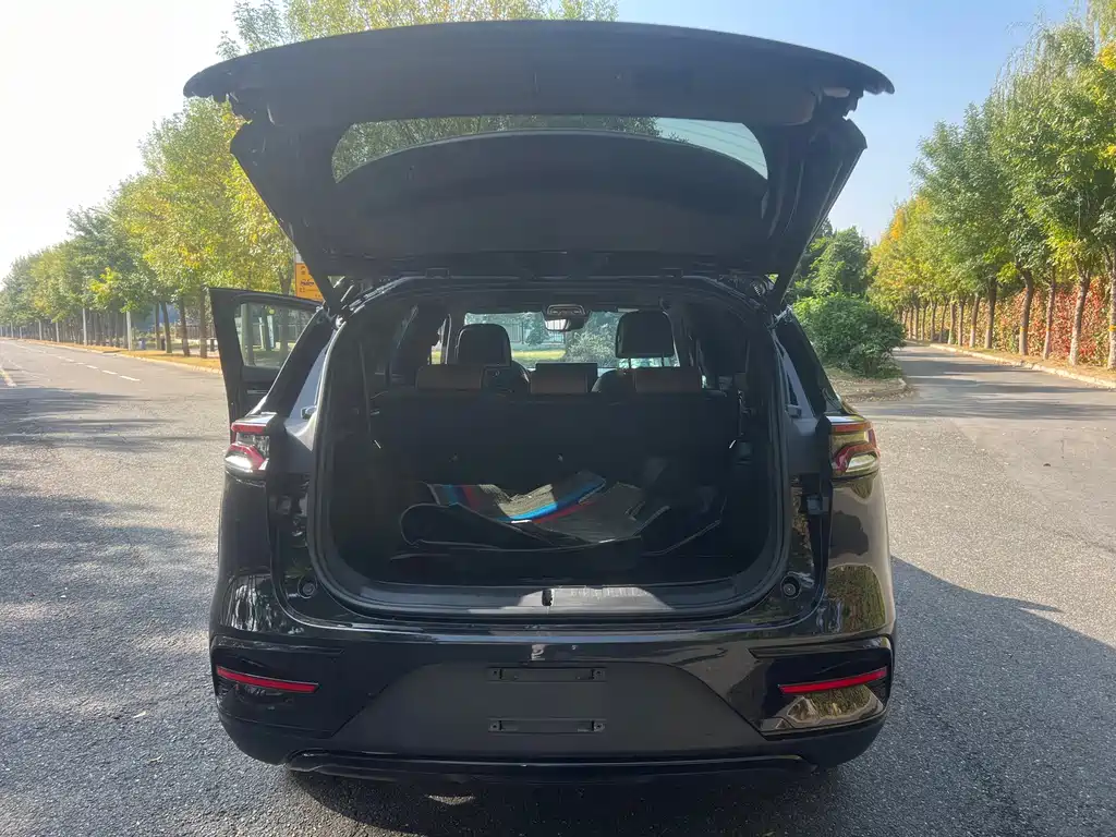BYD Tang New Energy — миниатюра 17