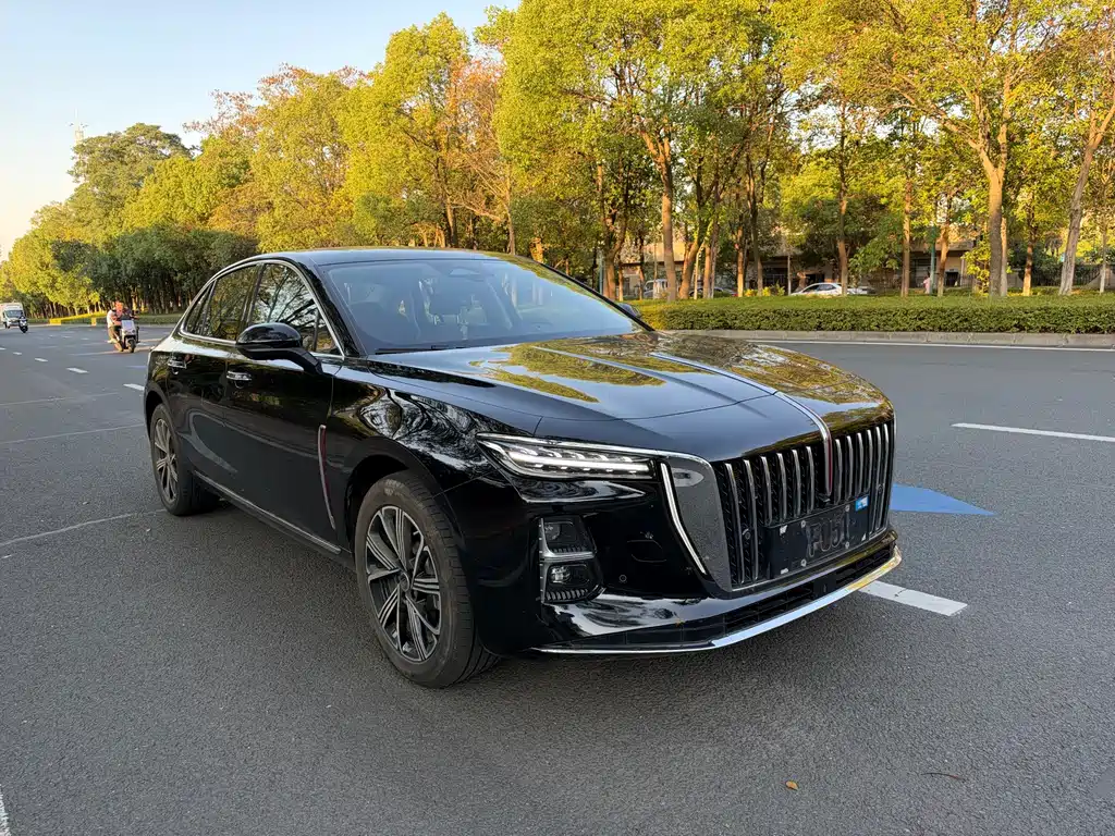 Hongqi Hongqi H5 PHEV — миниатюра 3