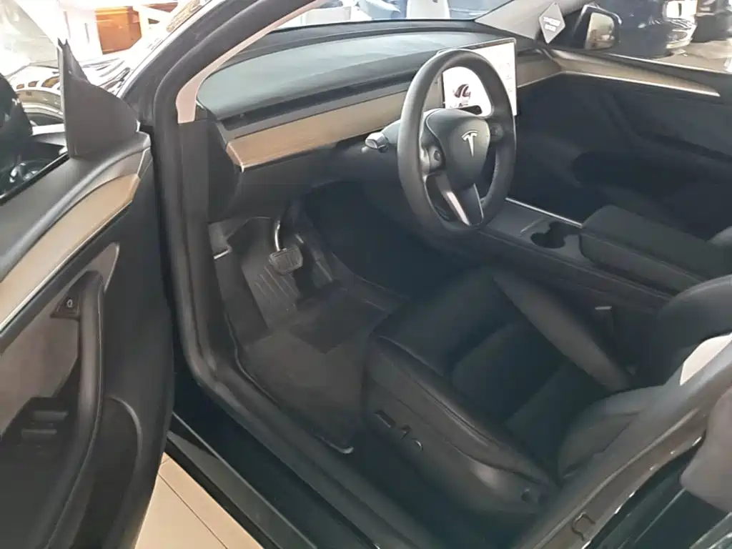 Tesla Model Y — миниатюра 16