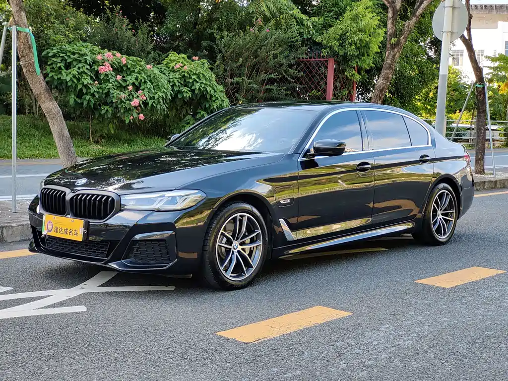 BMW 5 SERIES NEW ENERGY