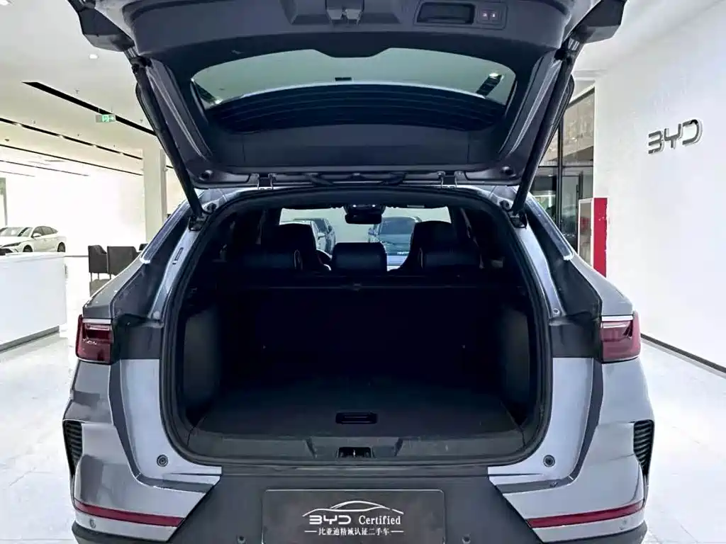 BYD PLUS New Energy — миниатюра 4