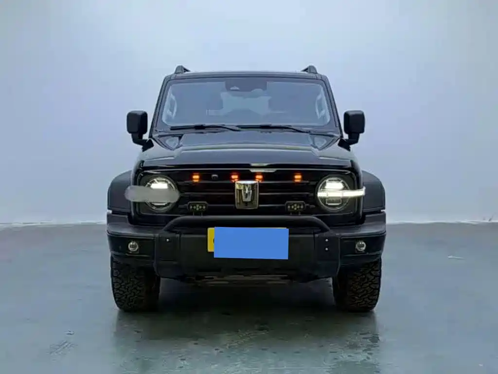 Tank Tank 300 New Energy — миниатюра 2