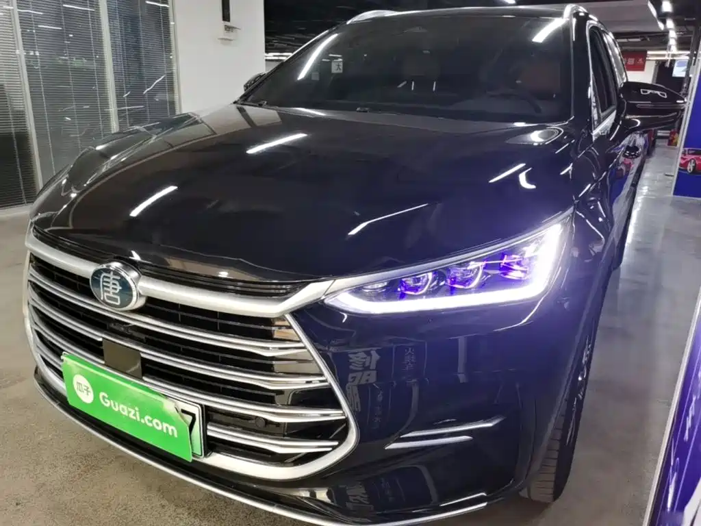 BYD Tang New Energy — миниатюра 2