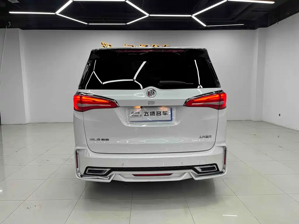 Buick GL8 — миниатюра 17