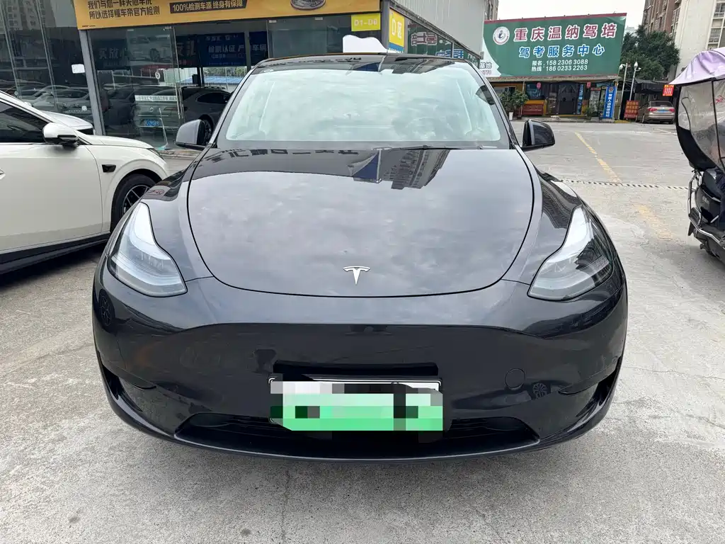 Tesla Model Y — миниатюра 2