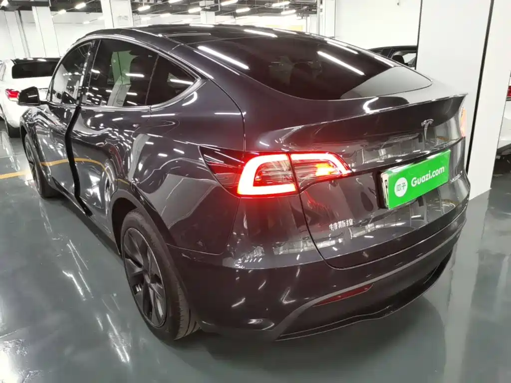 Tesla Model Y — миниатюра 5