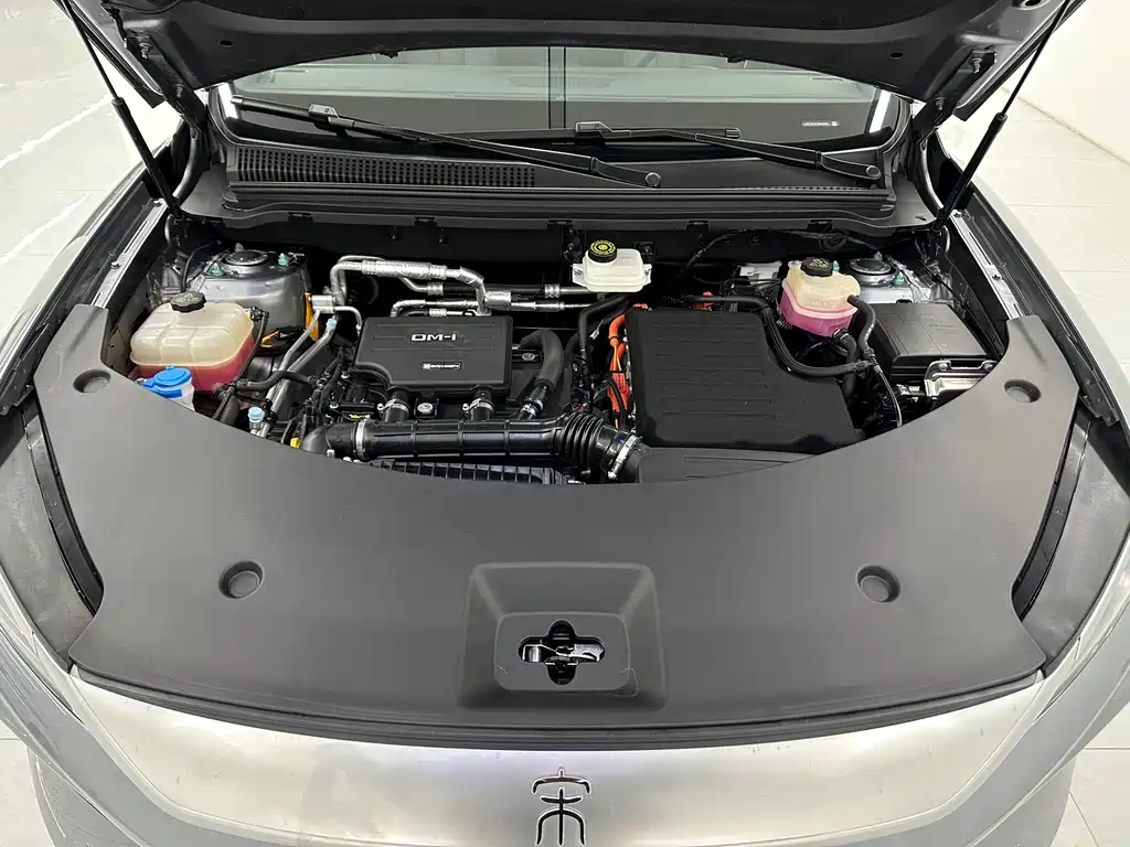 BYD SONGJIANG NEW ENERGY