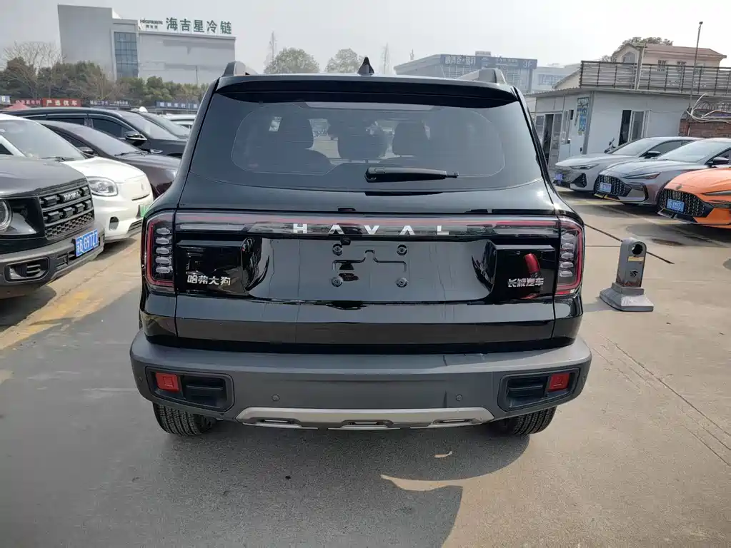HAVAL BIG DOG