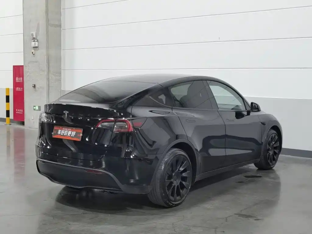 Tesla Model Y — миниатюра 2