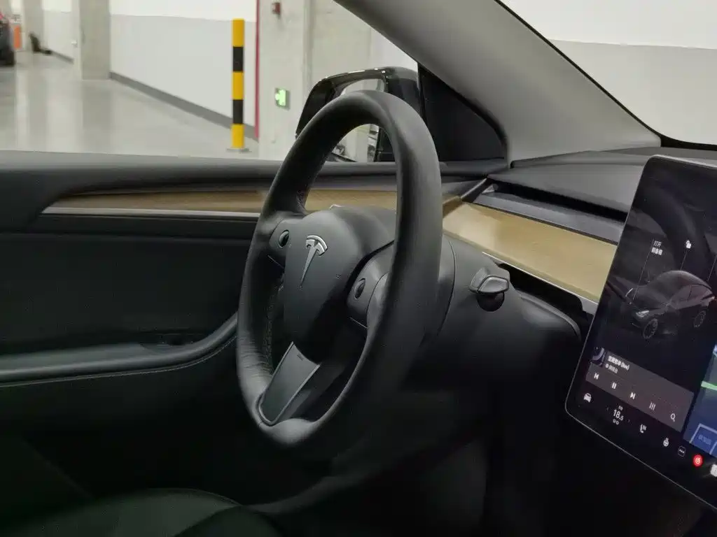 Tesla Model Y — миниатюра 22