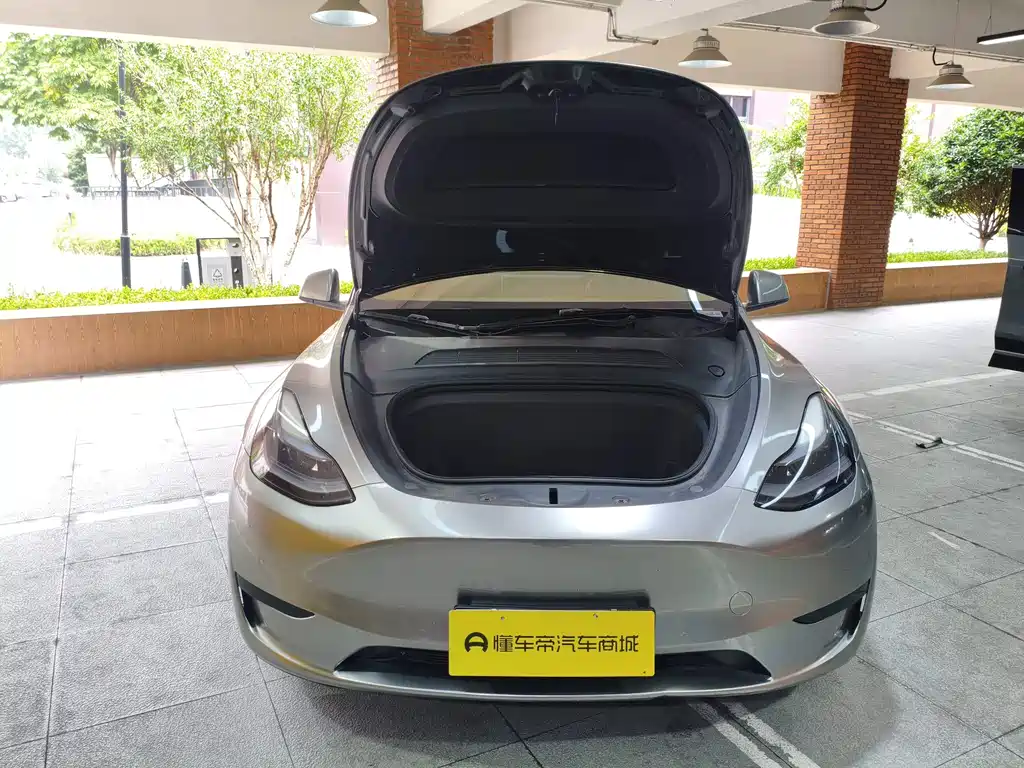 Tesla Model Y — миниатюра 19