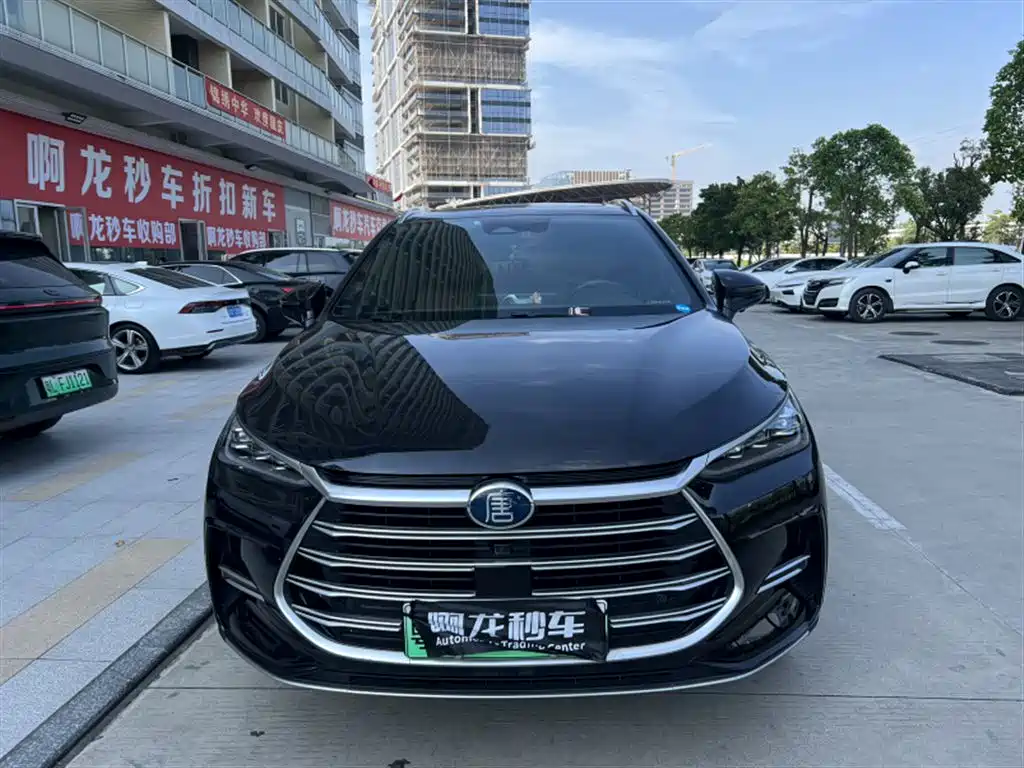 BYD Tang New Energy — миниатюра 2