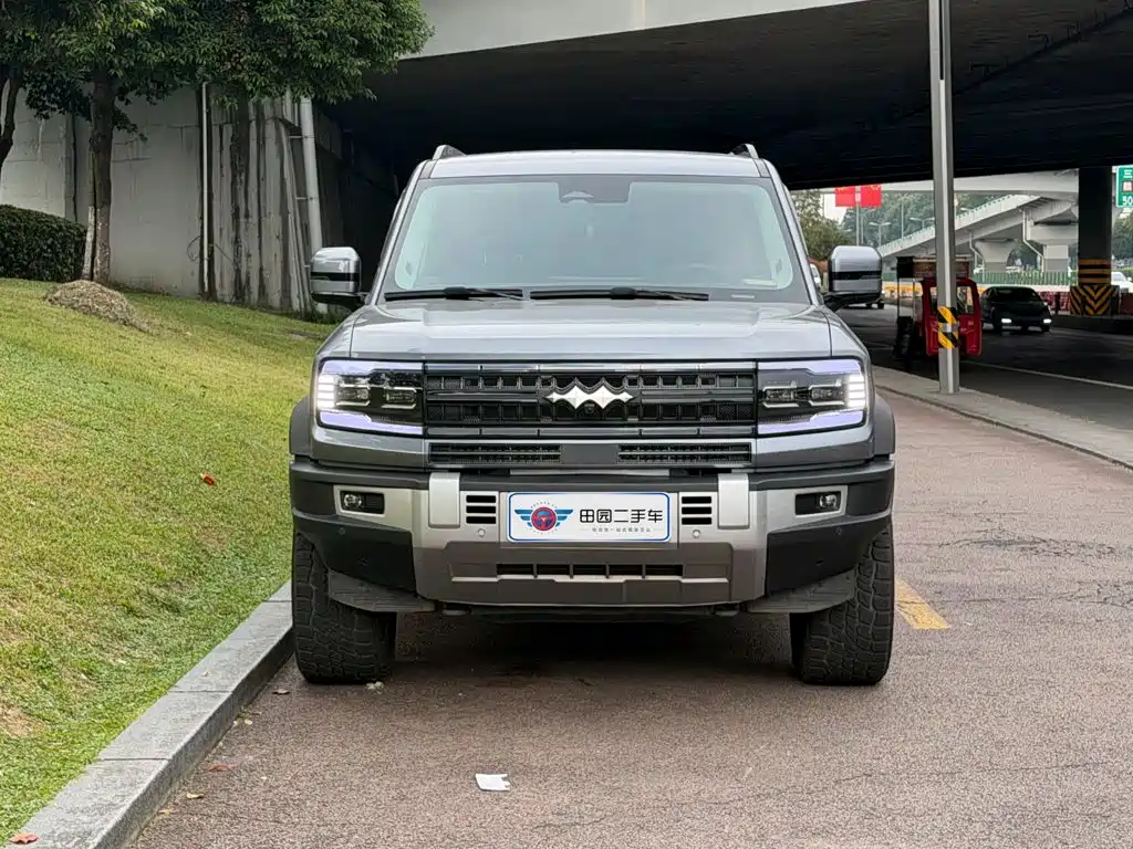 Fang Cheng Bao Leopard 5 — миниатюра 2