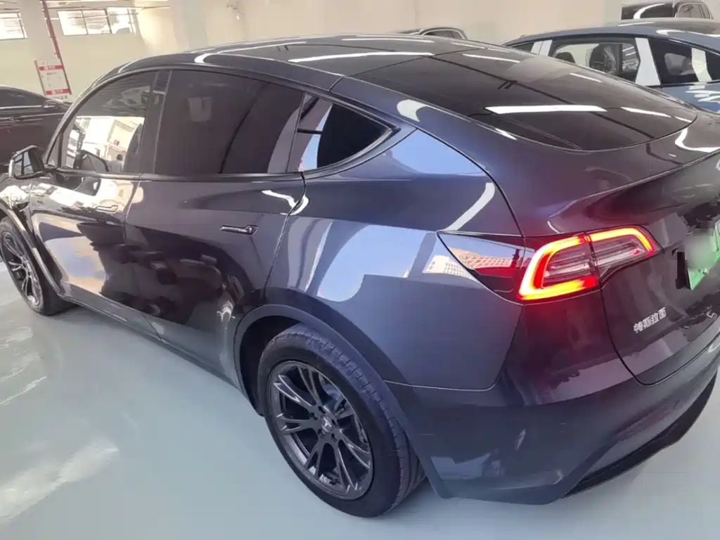 Tesla Model Y — миниатюра 5