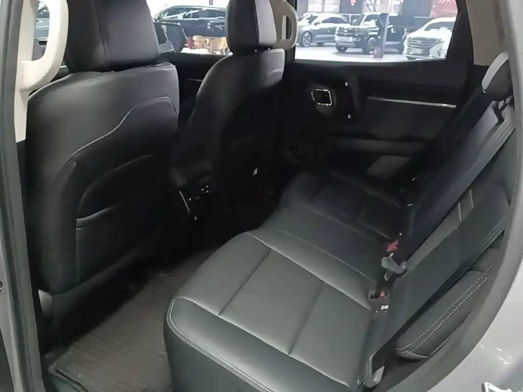 Haval Big Dog PLUS — миниатюра 17