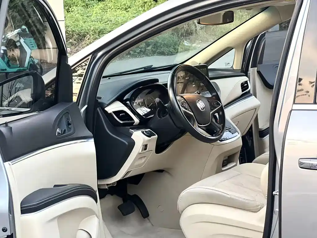 Buick GL8 — миниатюра 8
