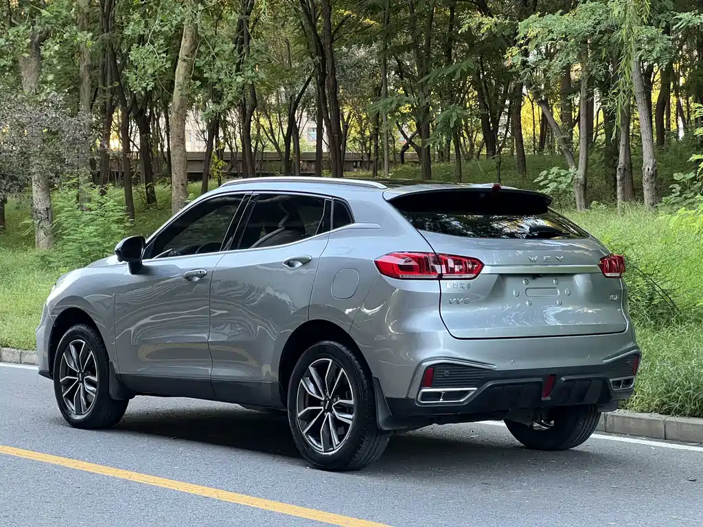 Wey Wey VV5 — миниатюра 8