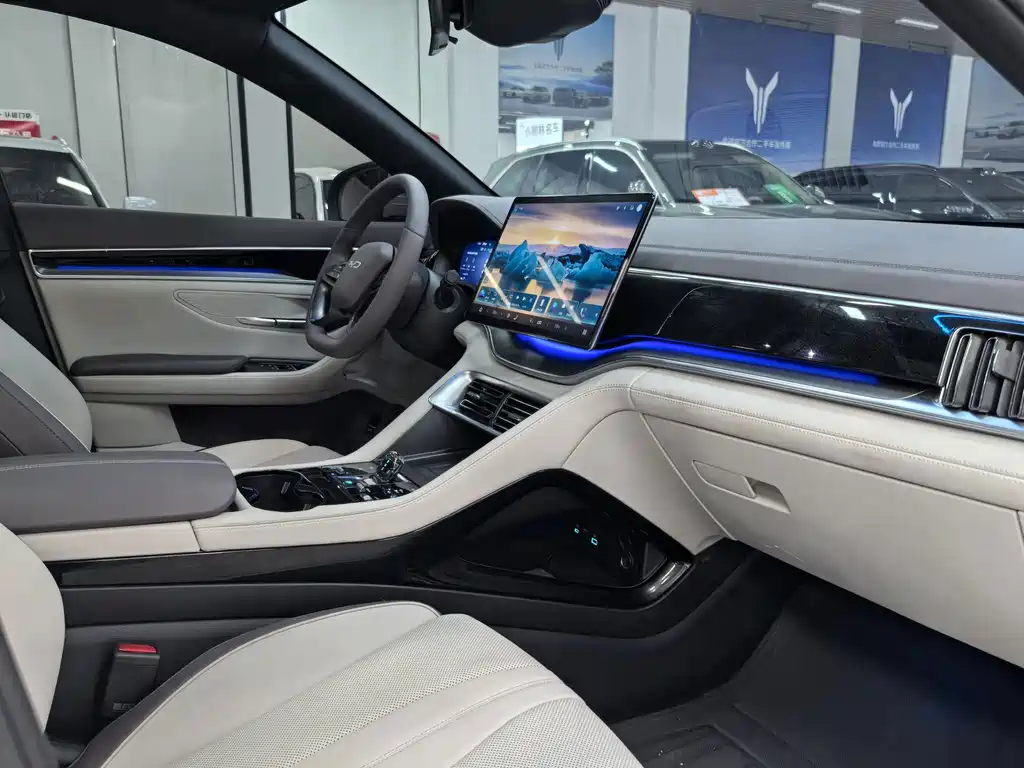 BYD PLUS New Energy — миниатюра 14