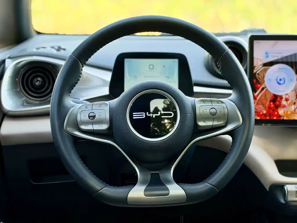 BYD Dolphin — миниатюра 11